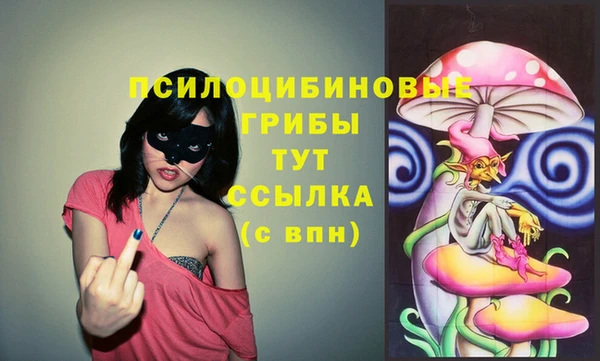 ECSTASY Горно-Алтайск