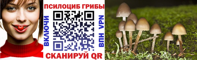 наркошоп Махачкала Псилоцибиновые грибы Cubensis